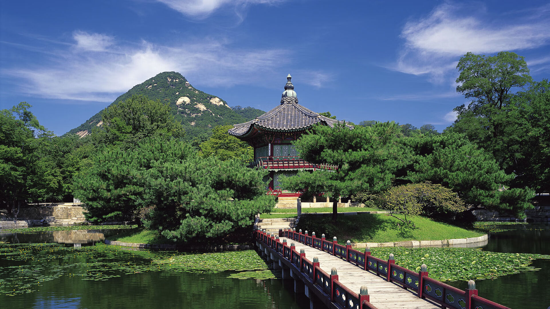 世界举重康复名师驻点服务成效第三方评估发布，世界举重比赛冠军